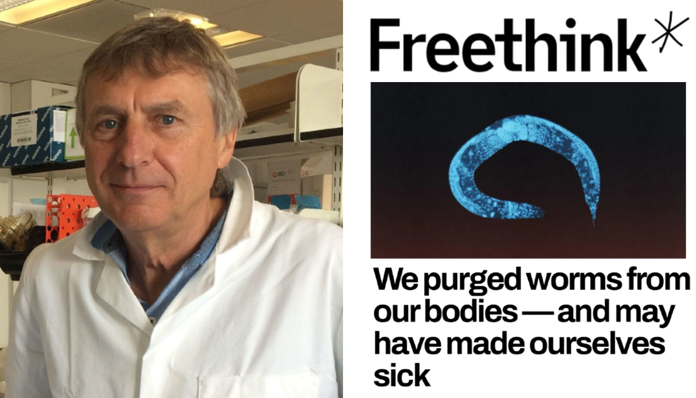 A composite graphic with a portrait image of Professor Rick Maizels in the lab beside the cover of the Freethink article featuring the webpage title, the heading: 'We purged worms from our bodies — and may have made ourselves sick' and an image of Caenorhabditis elegans
