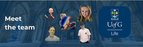 Meet the team banner with profile images of the team