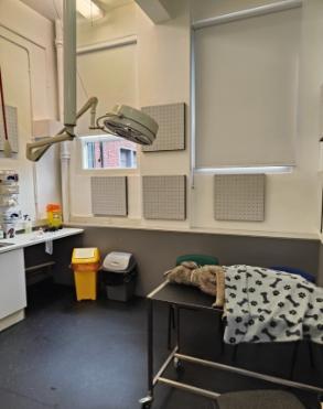 A vet room