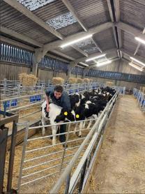 Photo of Reg Jones with cattle