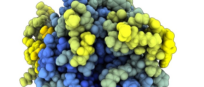 Virus protein structure from Viro3D platform from a Disease X