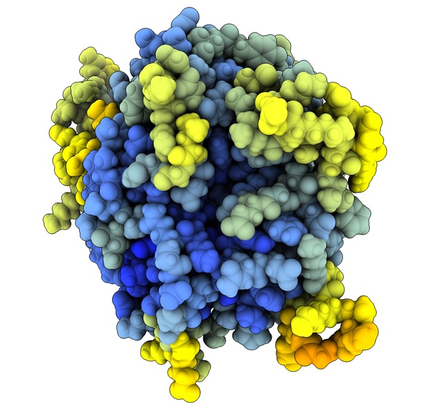 Virus protein structure from Viro3D platform from a Disease X