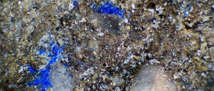 Paleolithic painters had the blues