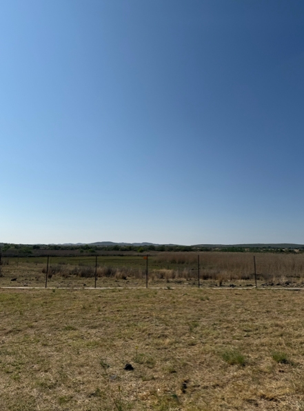 The overview of the wetland. Photo credit: Alexandra Vasilyeva.