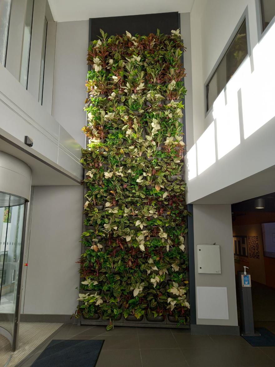 University Library Living Wall