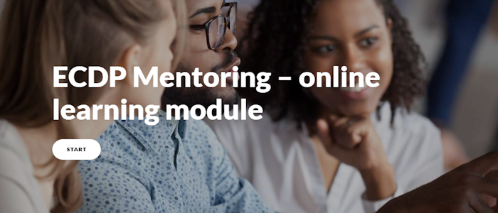 for decorative purposes only