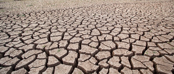 Image of a field severely affected by drought