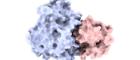 3D molecular structure showing two interacting protein-like surfaces, one shaded in light blue and the other in pale pink, with a smooth, blob-like texture.
