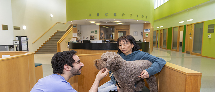 Image of student nurse, member of University of Glasgow staff and dog in Small Animal Hospital Reception