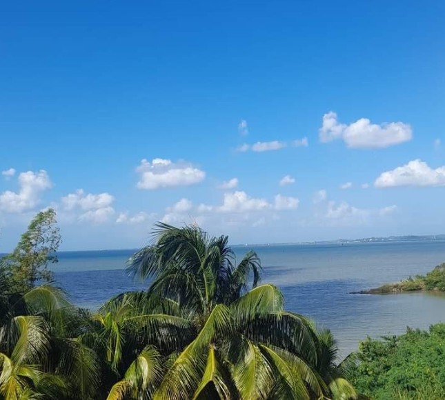 Trinidad and Tobago Landscape