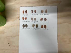 Skin of the City - Minty Donald 3