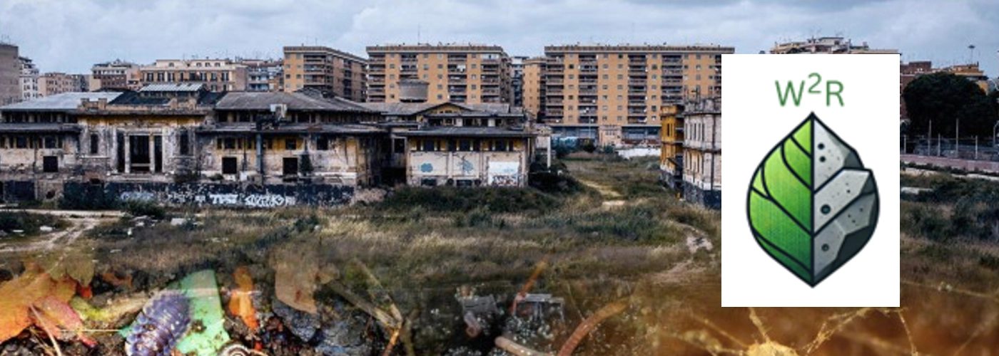 Banner Image - W2R (Logo)