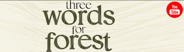 Three Words for Forest