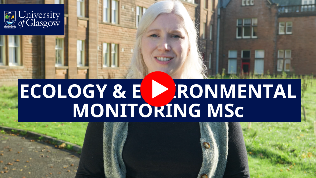 Thumbnail that reads 'Ecology & Environmental Monitoring MSc'
