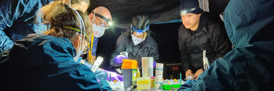 An image of six members of the Streicker Group conducted research in the field at night. They are huddled together around a table and under a canopy, with the dark night lit my artificial light.