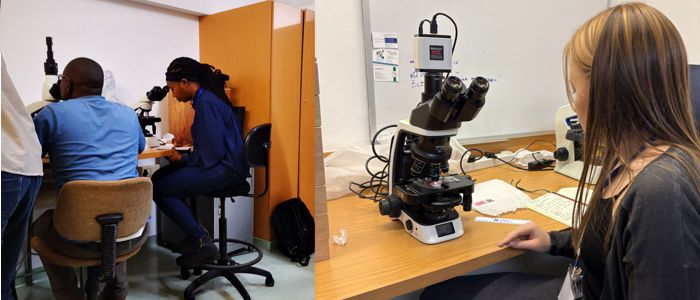 Workshop participants using a microscope and taking notes