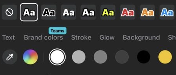 A screenshot of the subtitling software on Capcut