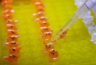 140 Science