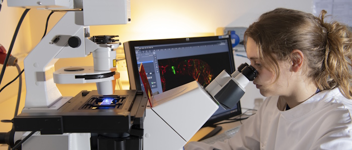 Researcher with microscope and monitor