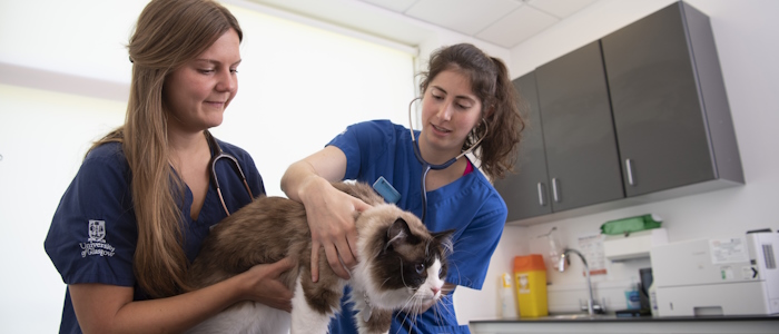 Two Veterinary Medicine students holding a cat