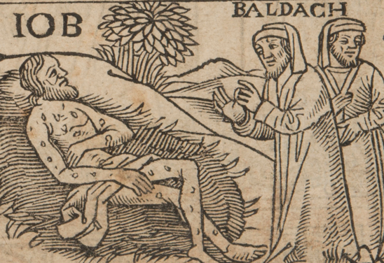 Detail showing Job suffering from 'syphilis' in Hunter Aw.3.5