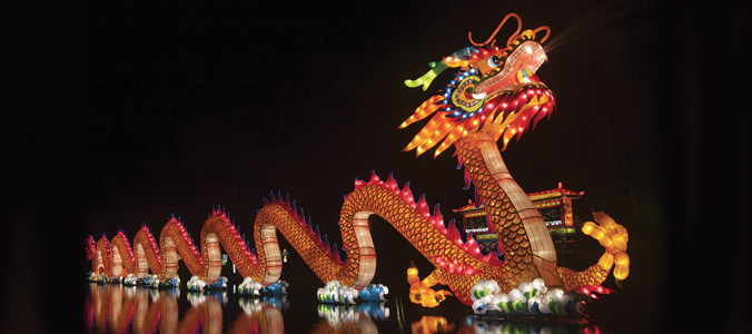 Chinese Alumni reception