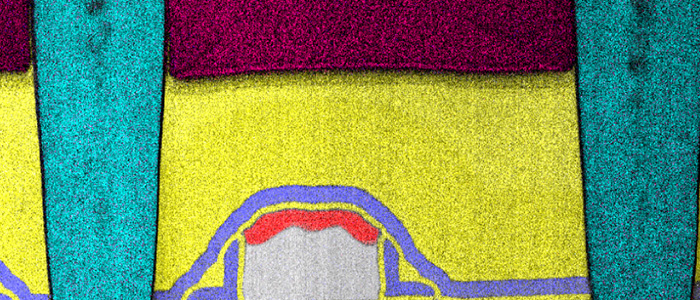 Image from electron microscope