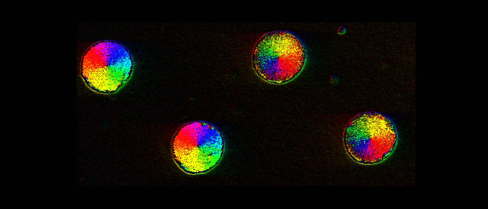 Magnetic Nanostructures