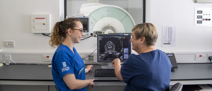 Two vet nurses discussing a scan on a monitor