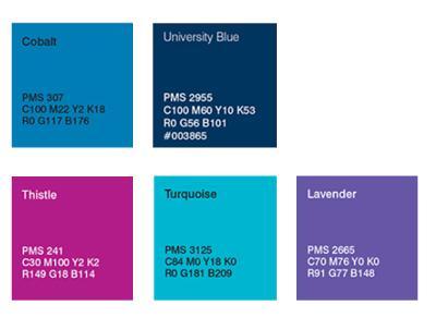 Student Recruitment Colours