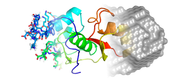 Structural Biology and Biophysical Characterisation Facility