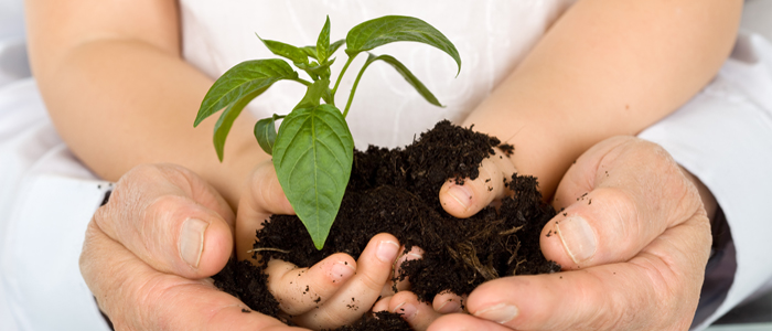 tile - about the trial