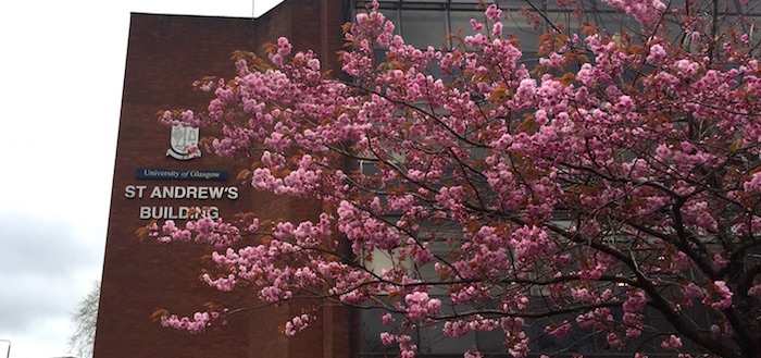 STAB blossoms