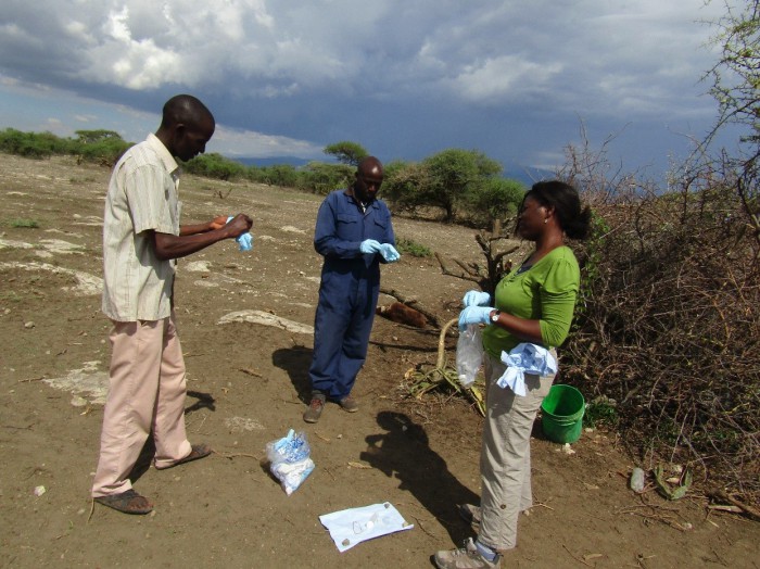 Researcher Spotlight: Rhoda Aminu