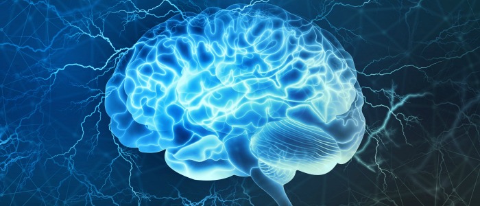 Brain image cafe scientifique