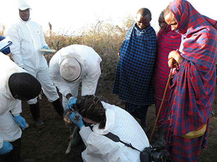 Ellen Hughes 700px wide