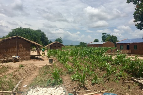 malawiGCRF450