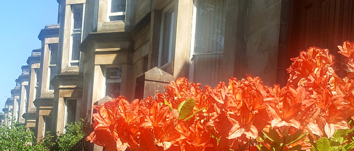 Photo of 1 Lilybank Gardens with flowers and blue sky