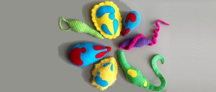 PE activities tile resized