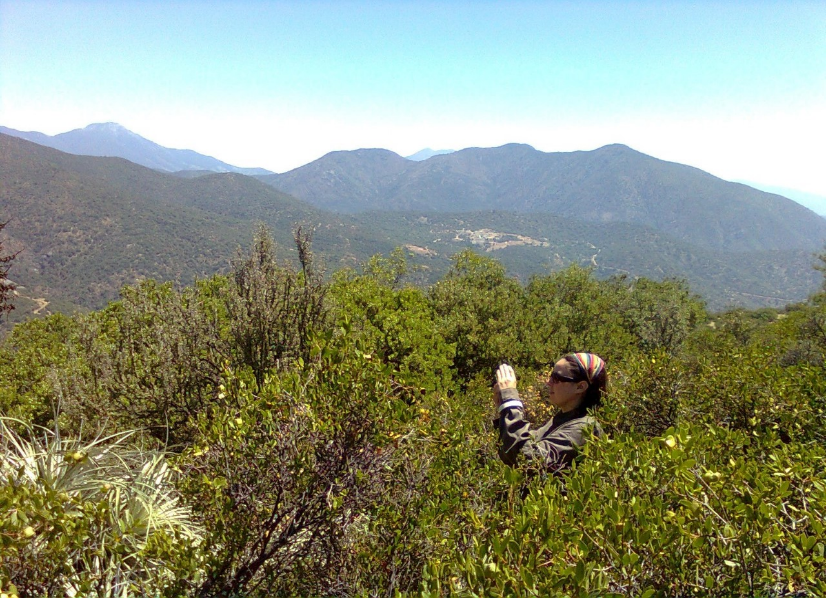 Antonella Bacigalupo picture