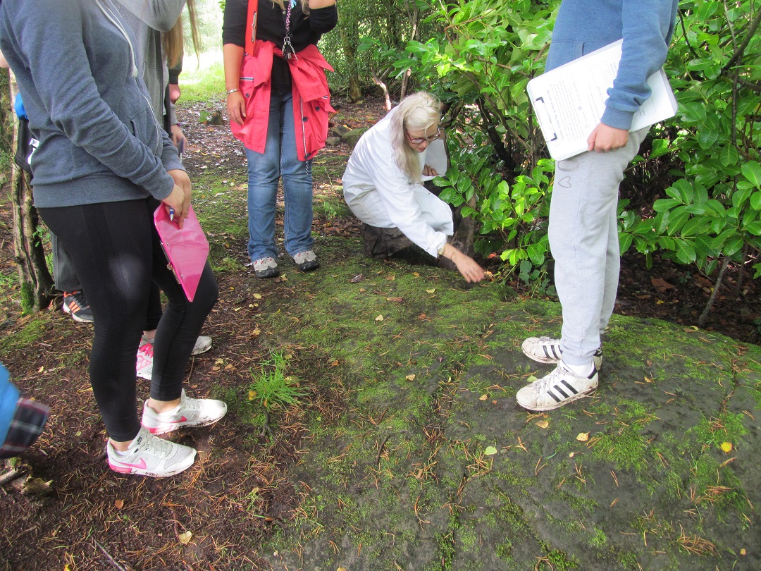 Secondary students visiting the Faifley Rock art as part of the People and Society course.