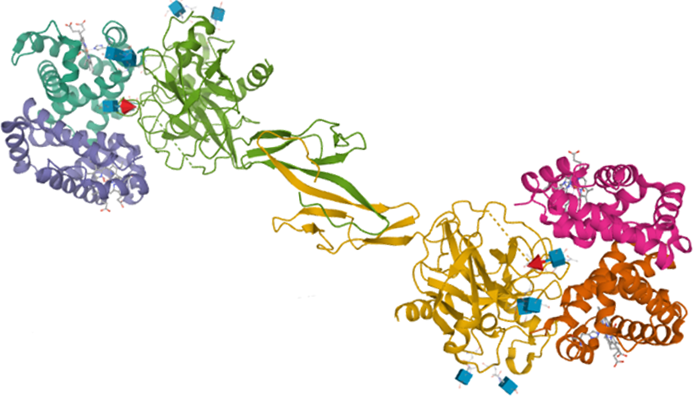 a picture of Biomarker haemoglobin_tile_pic
