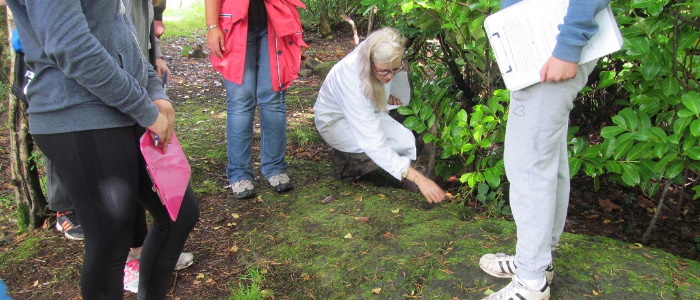 People and Society 700x300