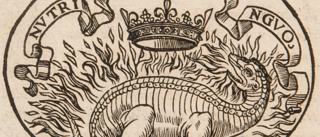 Italian Project SMC 300x700 tile (narrow)