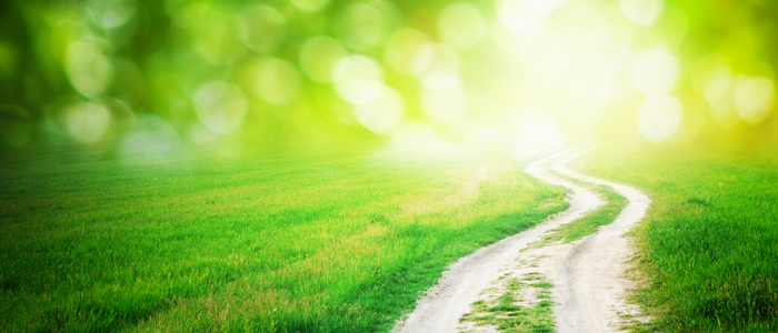 Photo of path through green space