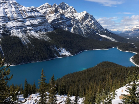 A high angled image looking down on Peyto Lake, Banff National Park, Alberta, Canada.