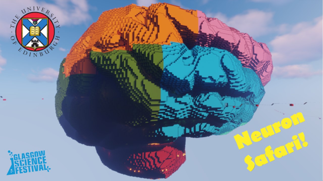 brain coloured in