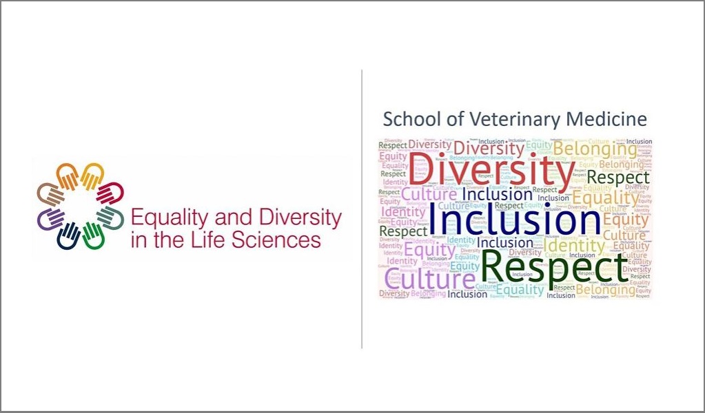 Prof Lubna Nasir live event