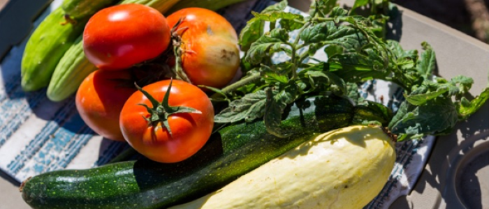 Tomates, cucumbers, and herbs on a towel