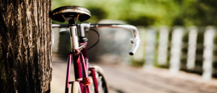 Bicycle leaning against a tree
